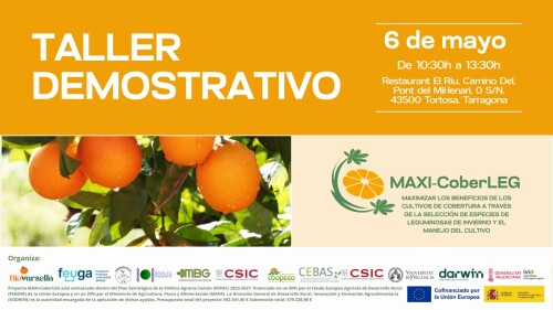 Taller demostrativo feuga.jpg